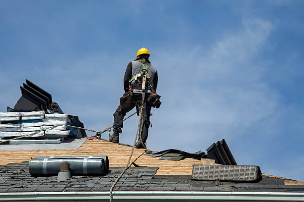 Professional Gutter Installation technician working in Curlew, WA